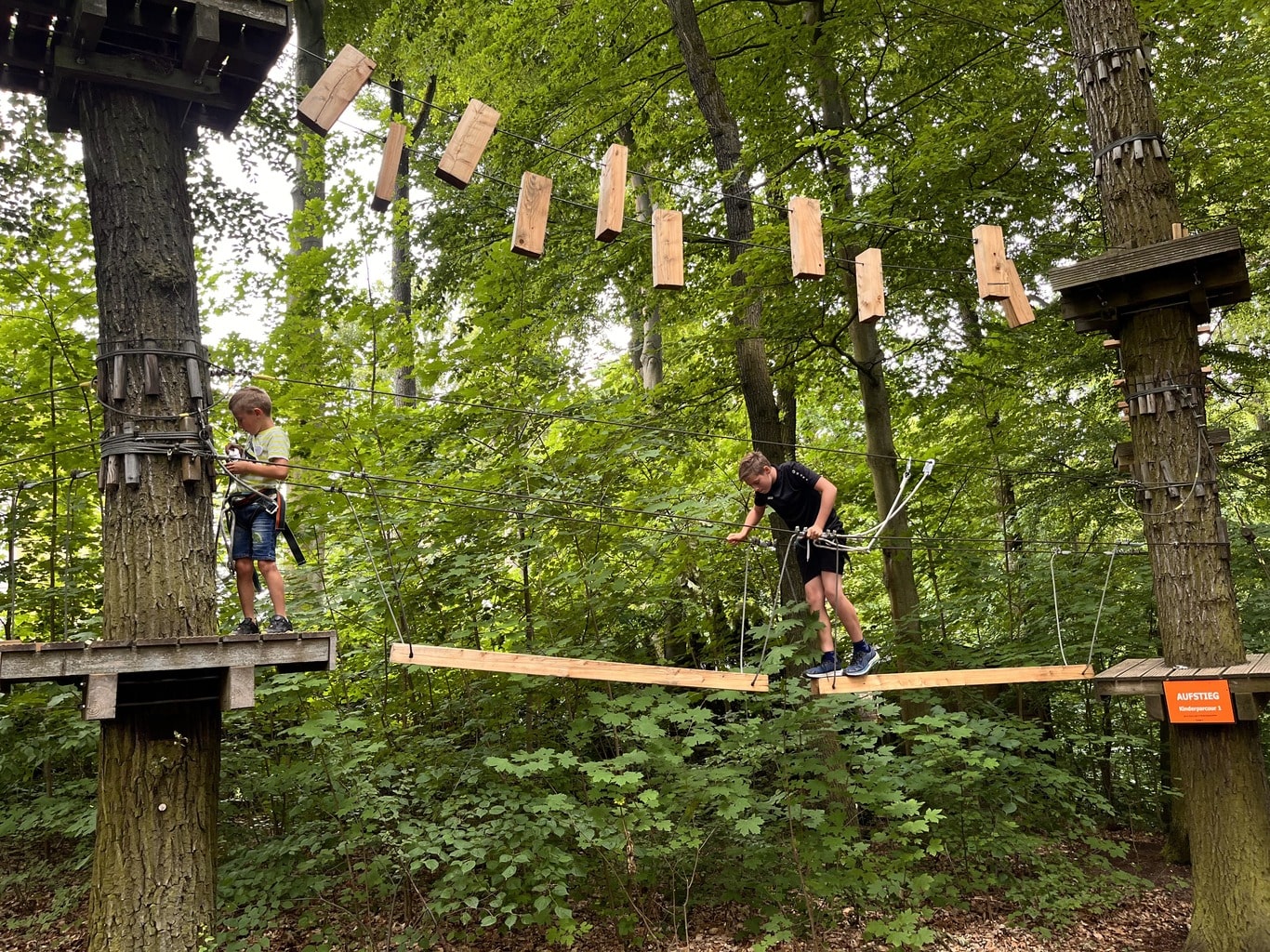 Kletterwald Gera